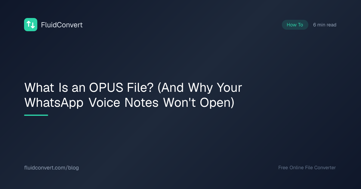 What Is an OPUS File? (And Why Your WhatsApp Voice Notes Won't Open ...